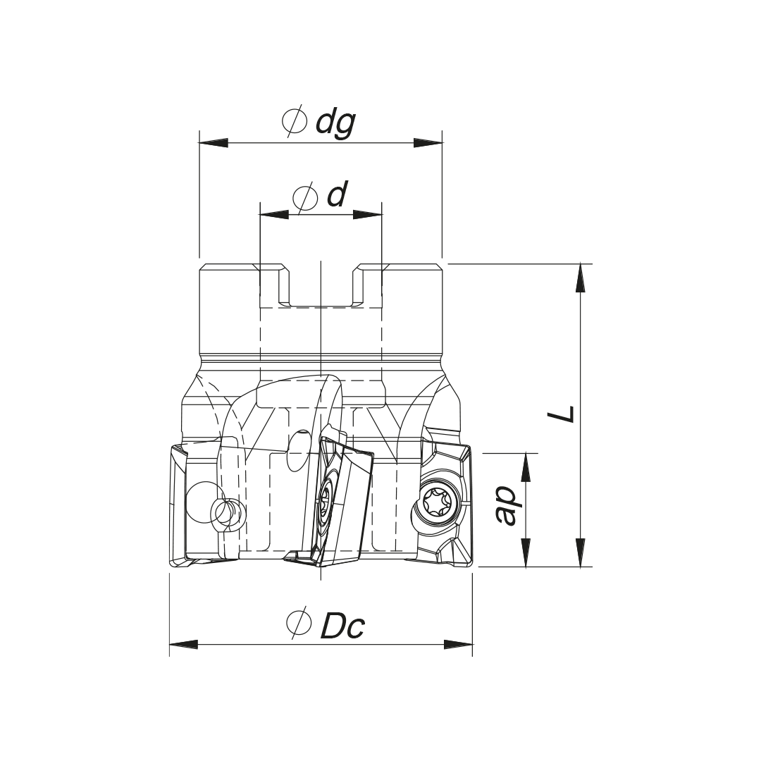 Palbit Arbor Mounting Holder - For AP1003 Inserts - 63mm Cutter Diameter - 181014300
