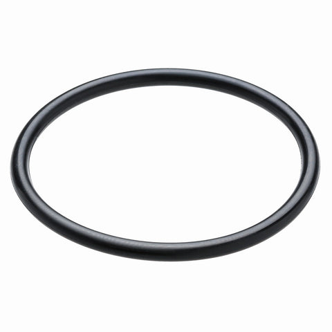 Omega Products O Ring - VDI40