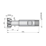 Dormer Pramet C80 11.0mm x 5mm HSS-E Screwed Shank T Slot Cutter DIN 851