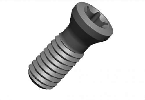 Palbit Rectified Insert Screw - PAL-290078900