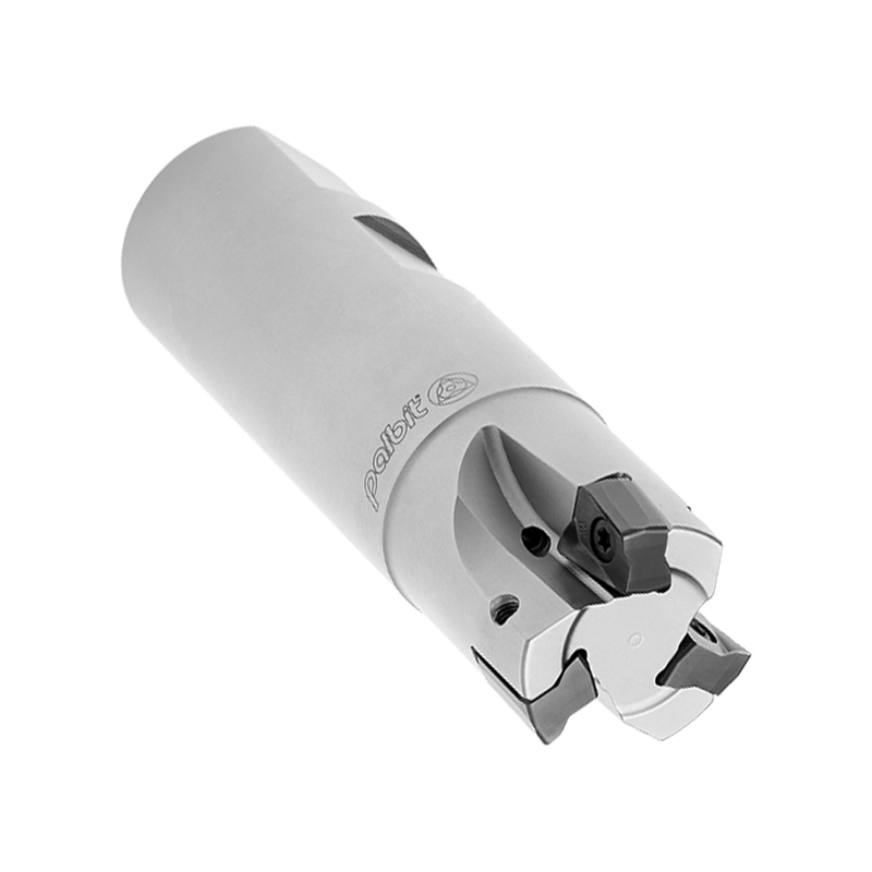Palbit Weldon Shank Holder - For AN1206 Inserts - 40mm Cutter Diameter - 181116100