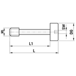 ITP Clamping Screw for Star Styli - Spherical Discs or Cubes - stainless steel Base Material - M5 Thread Size x 31mm Overall Length - SIM500026000
