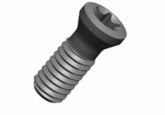 Washer screw