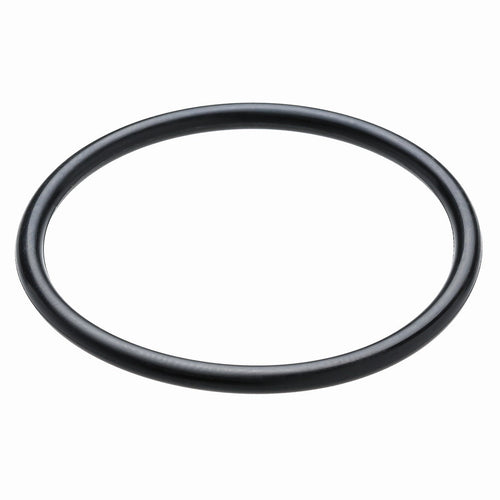 Omega Products O Ring - VDI30